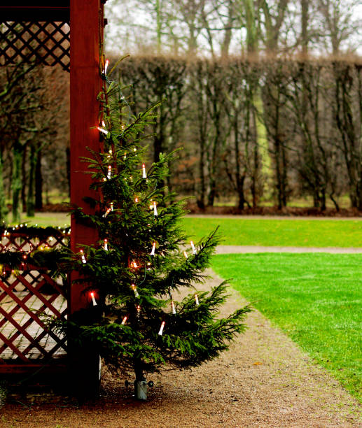 istock Christmas Tree with Lights waiting for Holidays 1172180570