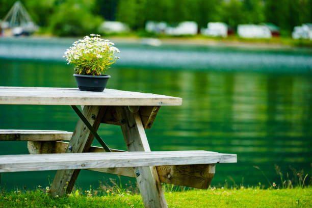 istock Rest stop area picnic site on fjord shore 1172180830