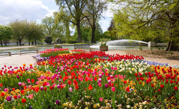istock Springtime in the Rheinpark Cologne 1172181054