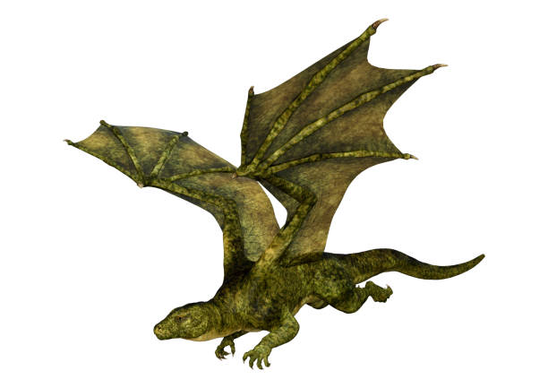 istock 3D illustration fantasy dragon on white 1172181088
