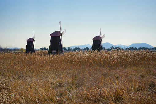 windmill scenery