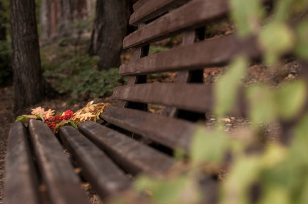 bouquet of autumn leaves and rowan berries on a bench in the forest