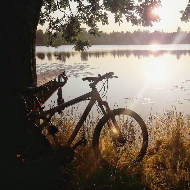 istock the bike is at the tree at sunset 1172182908