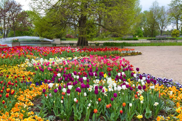istock Springtime in the Rheinpark Cologne 1172183758