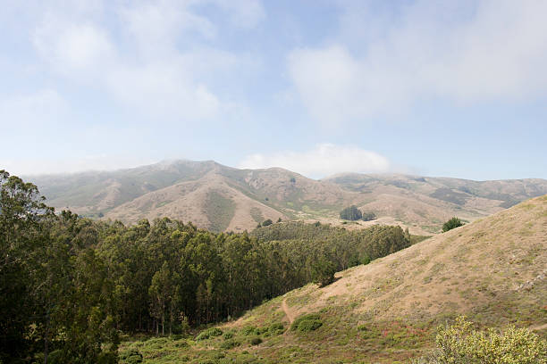 istock Inland Fog 117218815