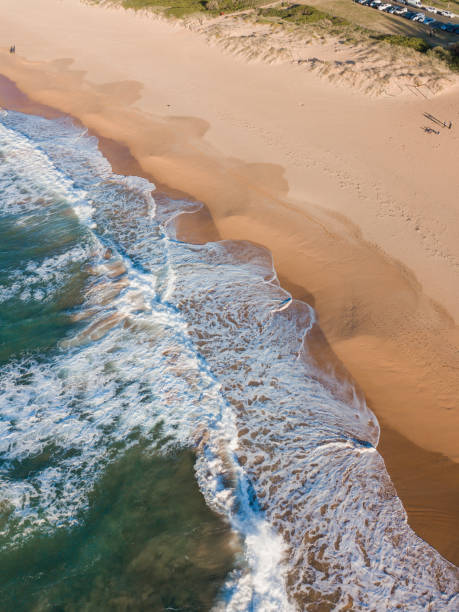 istock Aerial beach coastline 1172188324