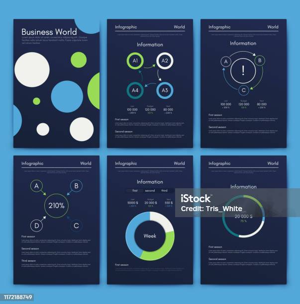 Business/program Graphics Modern Infographic Vector Concept Business Graphics Brochures Stock ...