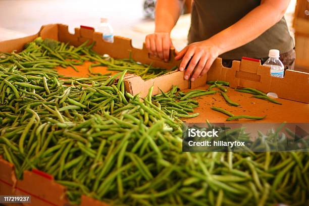 Foto de Legumes Frescos No Mercado De Produtos Da Fazenda e mais fotos de stock de Abundância - Abundância, Alimentação Saudável, Alimento básico