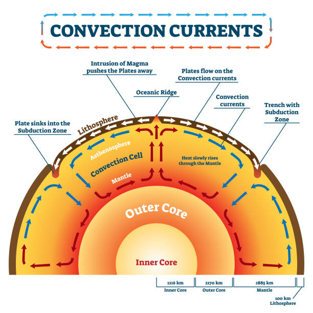 Convection Currents vector illustration. Labeled educational process scheme Convection Currents vector illustration. Labeled educational process scheme. Geology land movement and heat transfer by mass motion as molten rock. Lithosphere, ocean ridge and subduction zone example tide going out stock illustrations