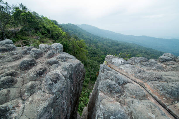istock THAILAND PHITSANULOK NATIONAL PARK 1172193357