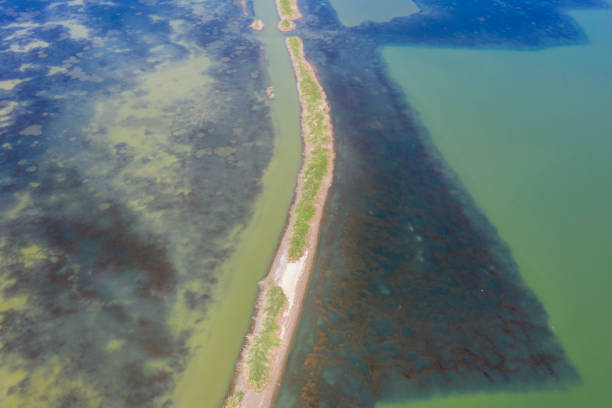 istock Aerial View of Lake 1172196500