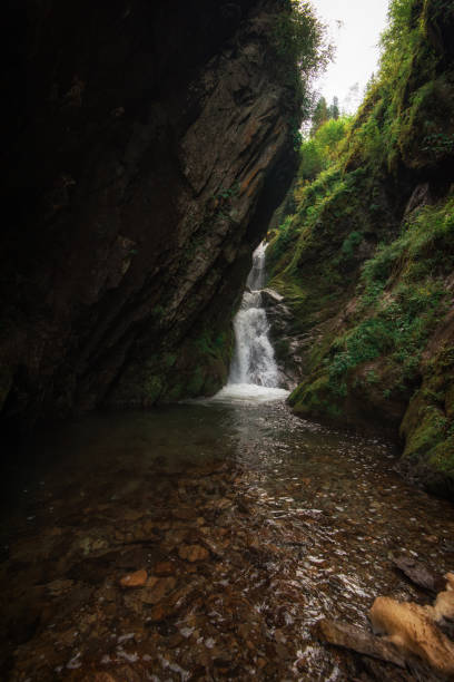 istock Estyube Waterfall at Lake Teletskoye 1172196711