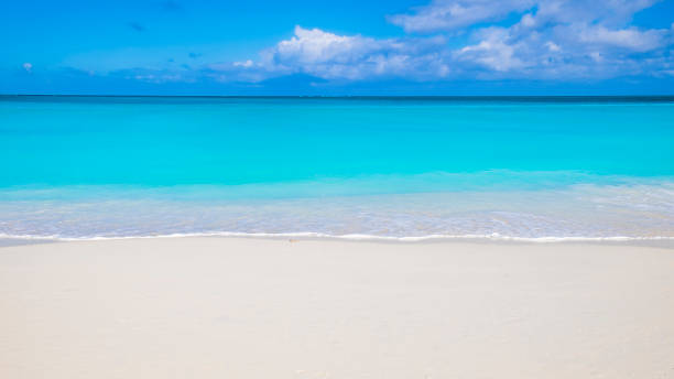 istock Turks and Caicos, Leeward Beach 1172197156