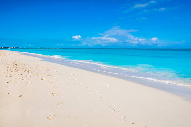 istock Turks and Caicos, Leeward Beach 1172198091