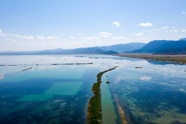 istock Aerial View of Lake 1172198101