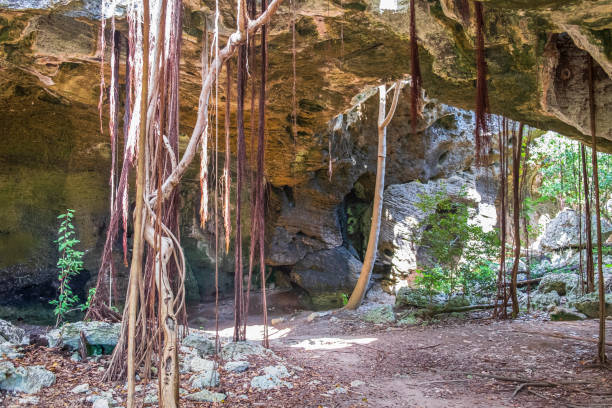 Turks and Caicos, Indian Cave at Middle Caicos the cave has no entry fee turks and caicos islands caicos islands bahamas island stock pictures, royalty-free photos & images