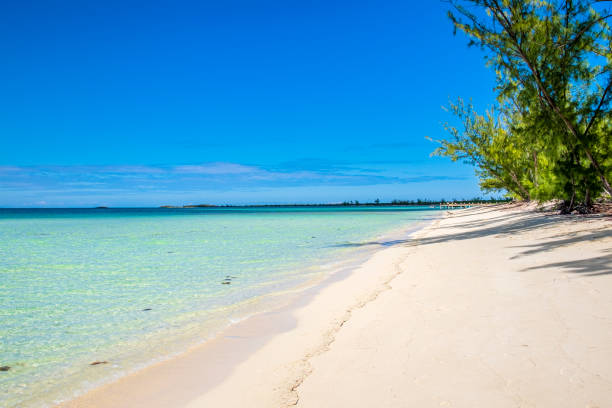 istock Turks and Caicos, Bambarra Beach - Middle Caicos 1172200764