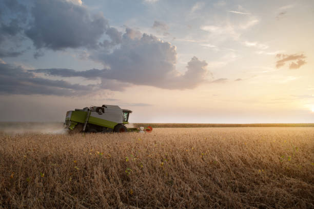 istock A combine harvesting soybeans at sunset 1172205126