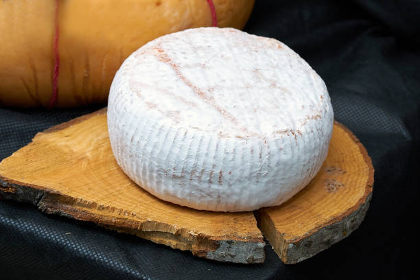 Big head of cheese in a white mold lying on a wooden board, black backgraund Big head of cheese in a white mold lying on a wooden board, black backgraund dairy producer stock pictures, royalty-free photos & images