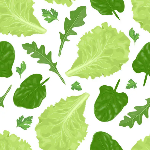 Vector illustration of Green salad leaves isolated on white background seamless pattern. Vector illustration of fresh arugula, spinach, lettuce and parsley in cartoon simple flat style.