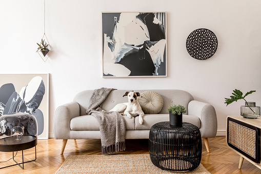 Elegante y escandinavo sala de estar interior de moderno apartamento con sofá gris, diseño de camarote de madera, mesa negra, lámpara, pinturas de abstrac en la pared. Hermoso perro tirado en el sofá. Decoración del hogar. photo