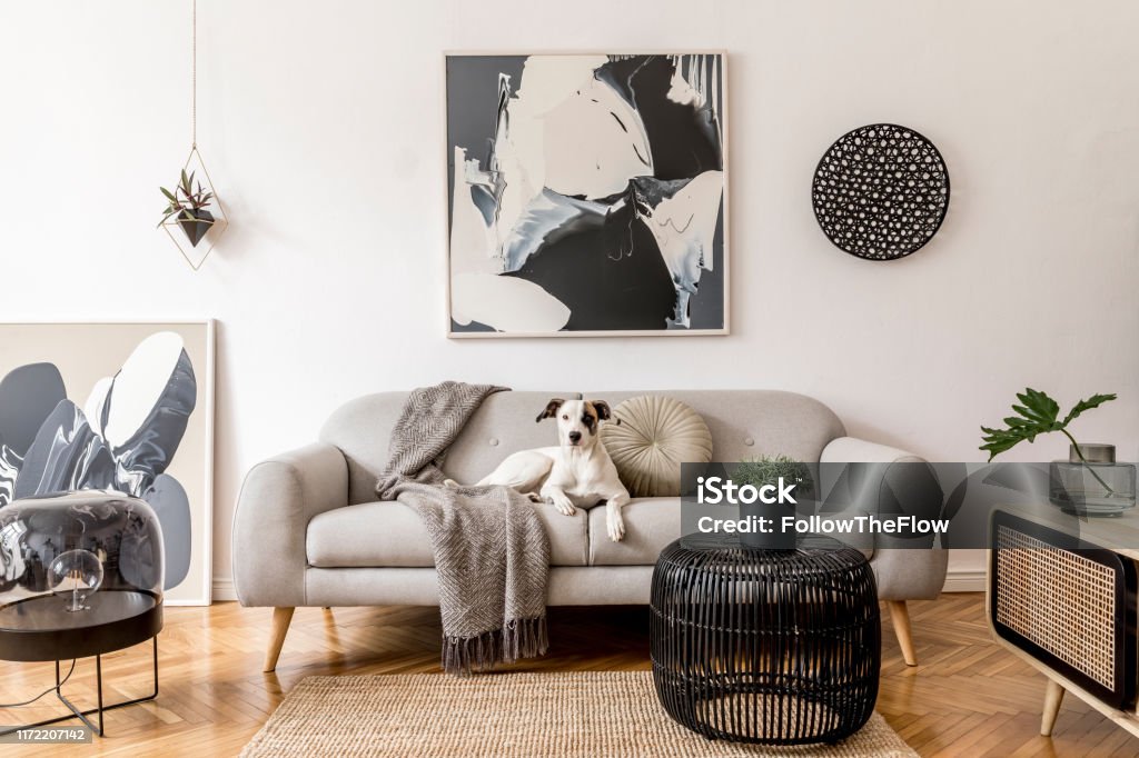 Elegante y escandinavo sala de estar interior de moderno apartamento con sofá gris, diseño de camarote de madera, mesa negra, lámpara, pinturas de abstrac en la pared. Hermoso perro tirado en el sofá. Decoración del hogar. - Foto de stock de Cuarto de estar libre de derechos
