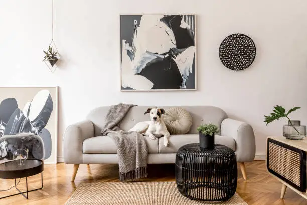 Photo of Stylish and scandinavian living room interior of modern apartment with gray sofa, design wooden commode, black table, lamp, abstrac paintings on the wall. Beautiful dog lying on the couch. Home decor.