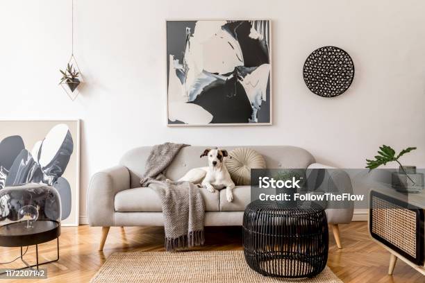 Foto de Interior Elegante E Escandinavo Da Sala De Visitas Do Apartamento Moderno Com Sofá Cinzento Commode De Madeira Do Projeto Tabela Preta Lâmpada Pinturas Do Abstrac Na Parede Cão Bonito Que Encontrase No Sofá Decoração De Casa e mais fotos de stock de Sala de estar