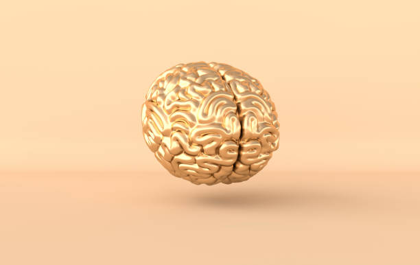 istock 3d brain rendering illustration template background. The concept of intelligence, brainstorm, creative idea, human mind, artificial intelligence. 1172208429