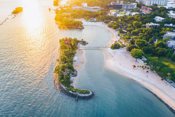 istock Sentosa Beach in Singapore at sunset 1172210697
