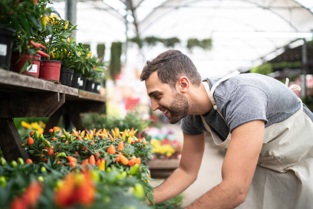 istock Young florist taking care of some seedlings 1172210805