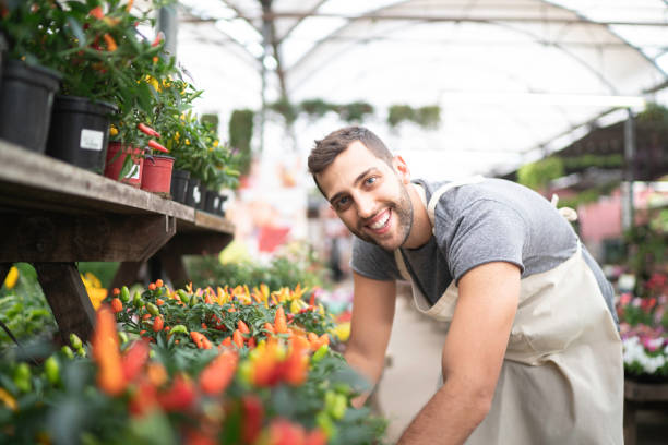 istock Young florist taking care of some seedlings 1172210822