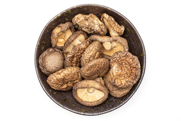 istock Dry shiitake mushroom isolated on white 1172212075