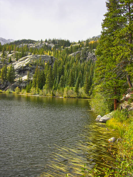 istock wondeful lake in the yellowstone park 1172212243