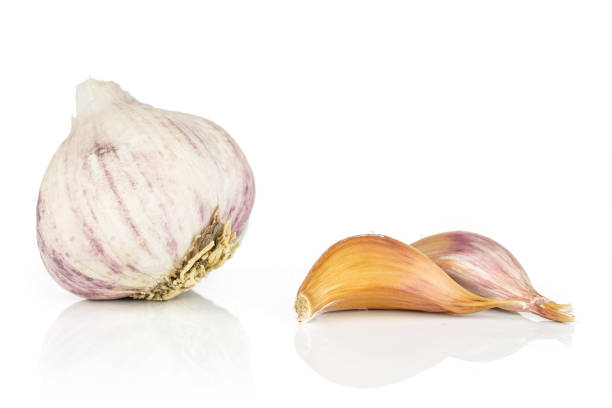 White organic garlic isolated on white Group of one whole two pieces of organic white garlic allium sativum isolated on white background acrid taste stock pictures, royalty-free photos & images