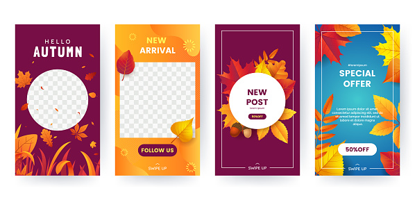 Set of autumn social media stories. Colorful autumn banners with fallen leaves and yellowed foliage. Backgrounds collection. Template for event invitation, product catalog, advertising. Vector eps 10