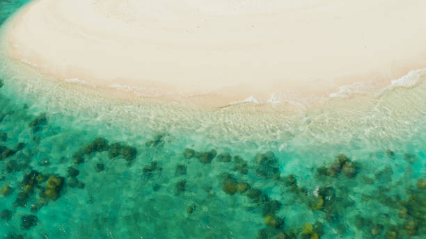 istock Tropical beach and blue sea with waves 1172217054