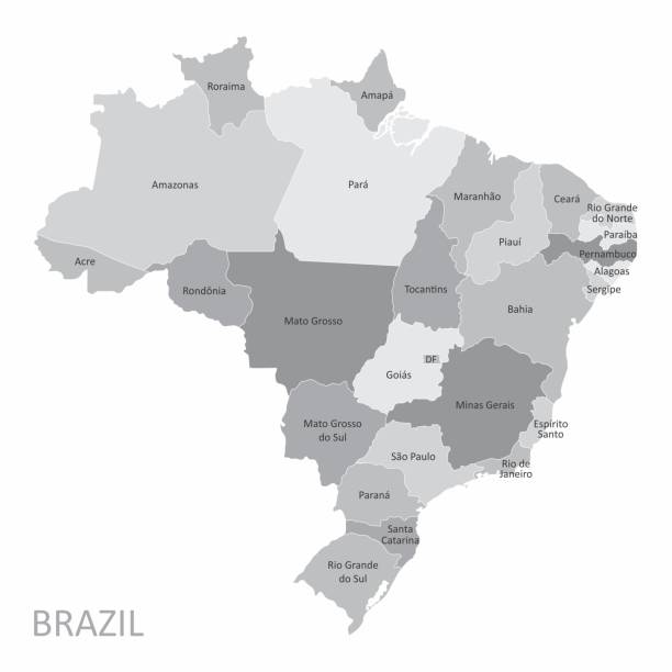 Brazil States map The Brazil map divided into states with labels flat country stock illustrations