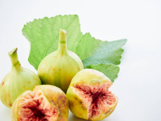 istock Many fresh green figs with leaves on white background 1172218075