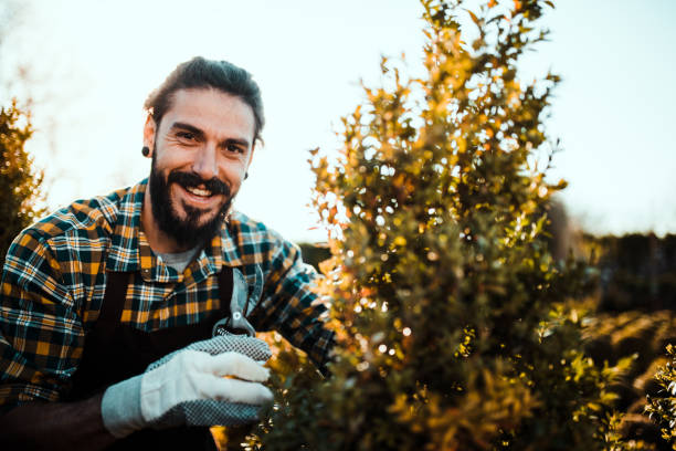 istock Guy wearing gloves working in a garden 1172218131