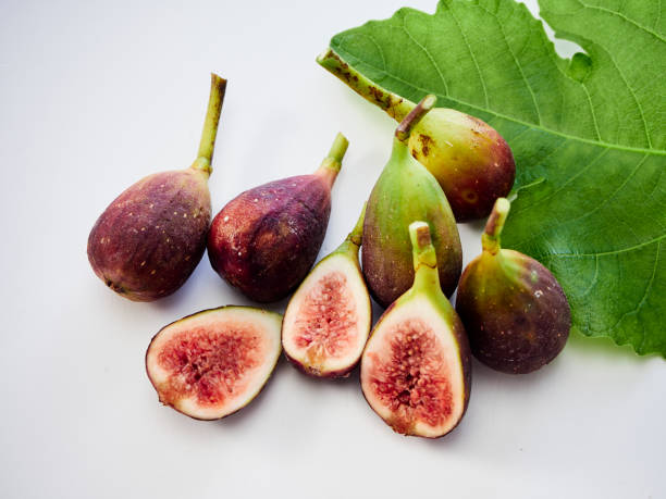 istock Many fresh purple figs with leaves on white background 1172218135