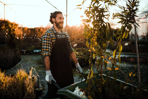 istock Guy pushing a cart in the garden 1172218145