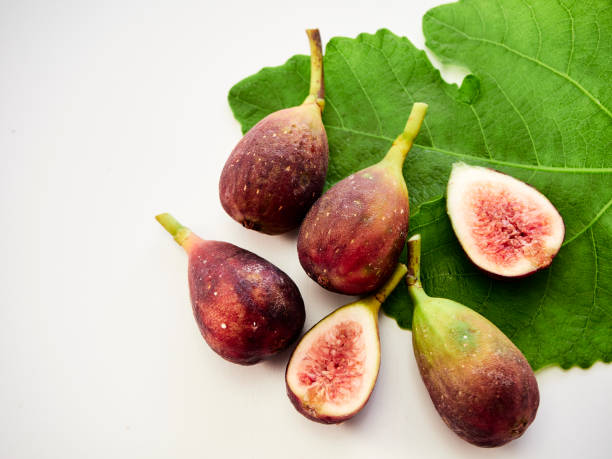 istock Many fresh purple figs with leaves on white background 1172218151