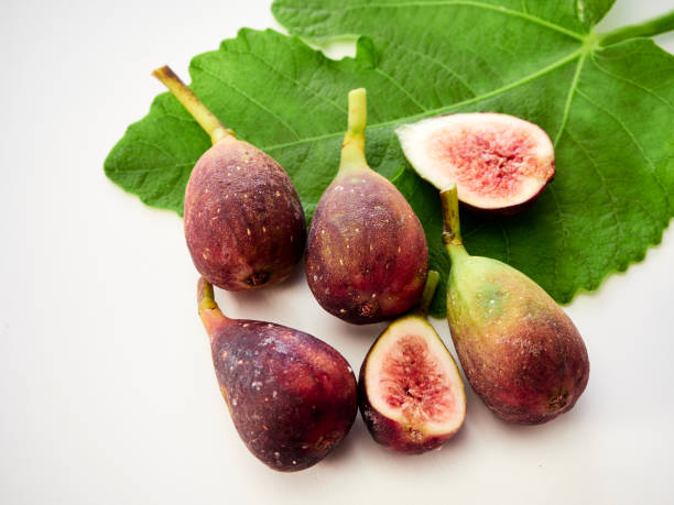 istock Many fresh purple figs with leaves on white background 1172218157
