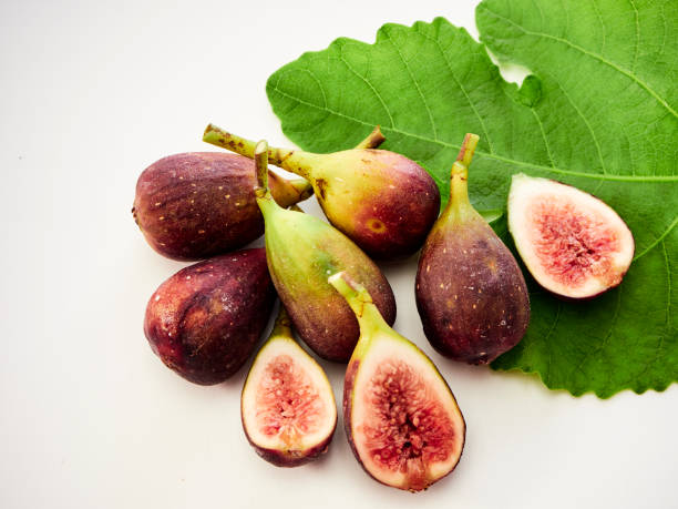 istock Many fresh purple figs with leaves on white background 1172218186