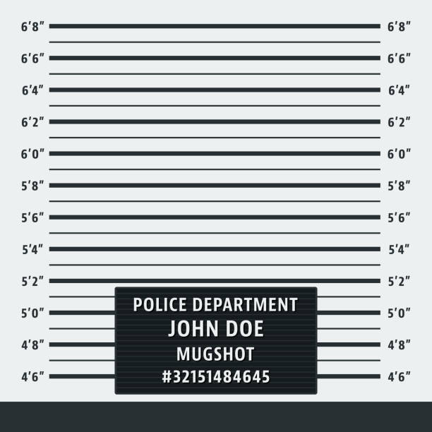 Police mugshot background Police mugshot. Police lineup background. Vector illustration lineup stock illustrations