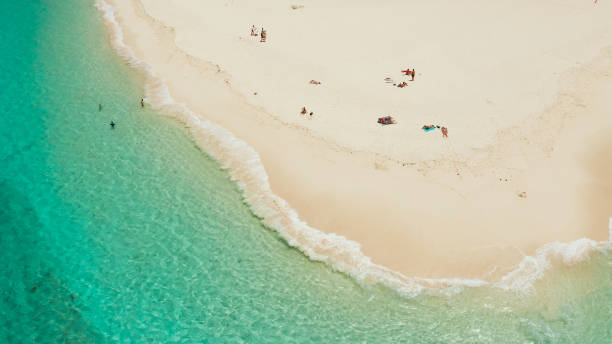 istock Tropical Daco Island with a sandy beach and tourists 1172224314