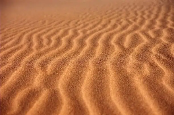 Sand waves. Namib desert.  Horizontal closeup shot