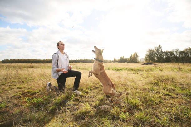 istock Side view of man training mongrel dog in grass on meadow. 1172225644