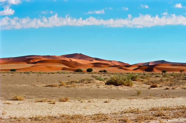 Dunes and clouds stock photo